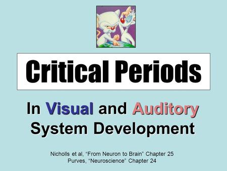 In Visual and Auditory System Development