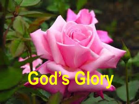 God’s Glory. Psa 8:1-9 “To the chief Musician upon Gittith, A Psalm of David. O LORD our Lord, how excellent is thy name in all the earth! who hast set.