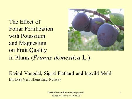 ISHS Plum and Prune Symposium; Palermo, Italy 17.-19.03.08 1 The Effect of Foliar Fertilization with Potassium and Magnesium on Fruit Quality in Plums.