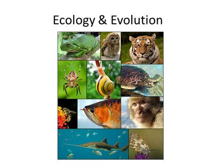 Ecology & Evolution. 7 billion people and growing.