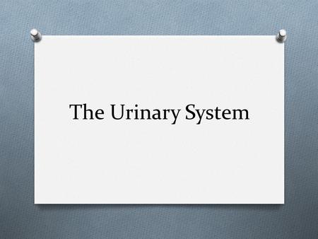 The Urinary System. Functions of the Urinary System O Three Major Functions O Excretion: The removal of organic waste products from body fluid. O Elimination: