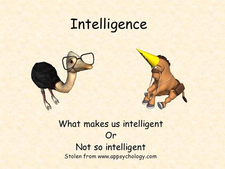 Intelligence What makes us intelligent Or Not so intelligent