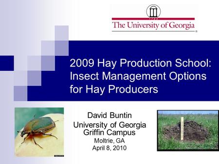 2009 Hay Production School: Insect Management Options for Hay Producers David Buntin University of Georgia Griffin Campus Moltrie, GA April 8, 2010.