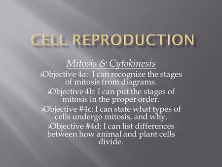 Mitosis & Cytokinesis  Objective 4a: I can recognize the stages of mitosis from diagrams.  Objective 4b: I can put the stages of mitosis in the proper.