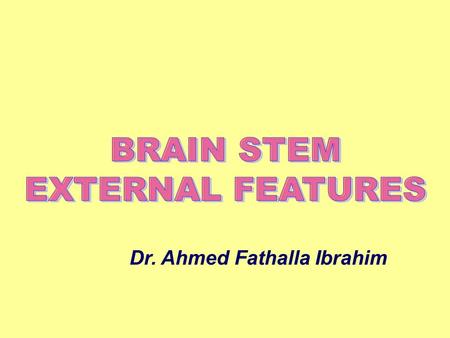 BRAIN STEM EXTERNAL FEATURES Dr. Ahmed Fathalla Ibrahim.