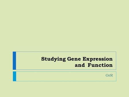 Studying Gene Expression and Function