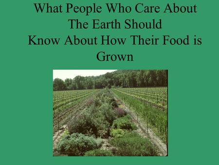 What People Who Care About The Earth Should Know About How Their Food is Grown.