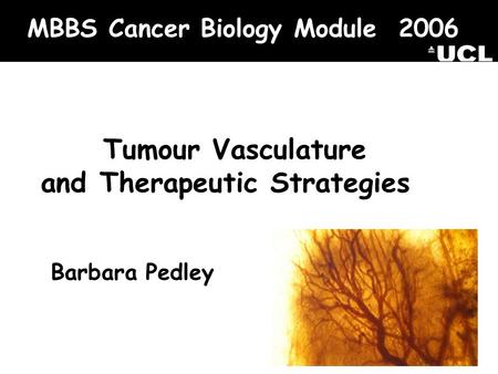 MBBS Cancer Biology Module 2006 Tumour Vasculature and Therapeutic Strategies Barbara Pedley.
