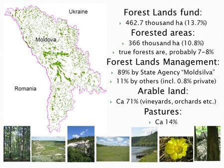 Forest Lands fund:  462.7 thousand ha (13.7%) Forested areas:  366 thousand ha (10.8%)  true forests are, probably 7-8% Forest Lands Management:  89%