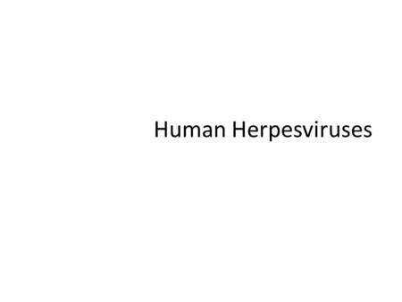 Human Herpesviruses.