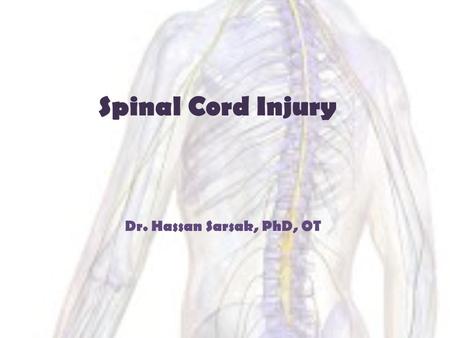 Spinal Cord Injury Dr. Hassan Sarsak, PhD, OT.