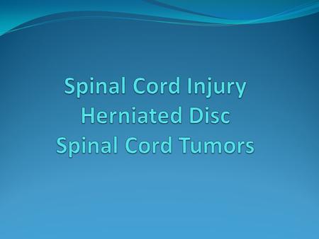 Spinal Cord Injury Herniated Disc Spinal Cord Tumors