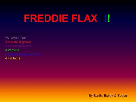 FREDDIE FLAX !!! Colours of flax Weaved flax How tall it grows Use for medicine Lifecycle How we recognize flax Fun facts By Sajith, Bailey & Euese.