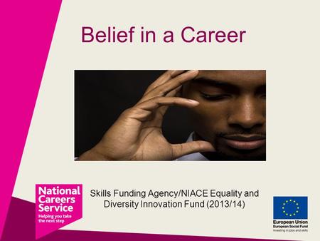 Belief in a Career Skills Funding Agency/NIACE Equality and Diversity Innovation Fund (2013/14)