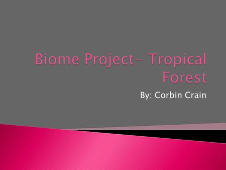 By: Corbin Crain.  I choose to do the tropical forest, because I like all the different kinds of animals that live there, and they have really pretty.