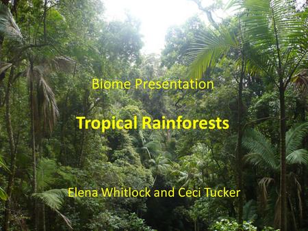 Biome Presentation Tropical Rainforests