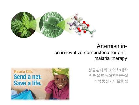 Artemisinin- an innovative cornerstone for anti- malaria therapy 성균관대학교 약학대학 천연물약품화학연구실 석박통합 7 기 김충섭.