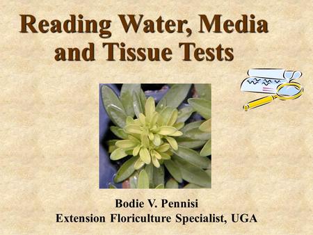 Reading Water, Media and Tissue Tests Bodie V. Pennisi Extension Floriculture Specialist, UGA.
