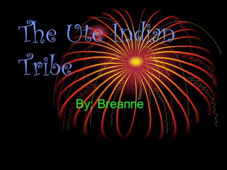 The Ute Indian Tribe By: Breanne.