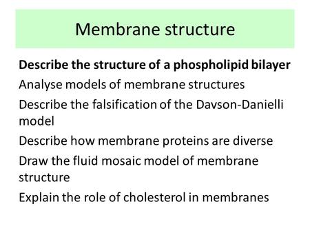 Membrane structure Describe the structure of a phospholipid bilayer Analyse models of membrane structures Describe the falsification of the Davson-Danielli.