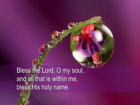 Bless the Lord, O my soul,Bless the Lord, O my soul, and all that is within me,and all that is within me, bless His holy name.bless His holy name.
