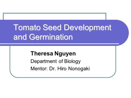 Tomato Seed Development and Germination Theresa Nguyen Department of Biology Mentor: Dr. Hiro Nonogaki.