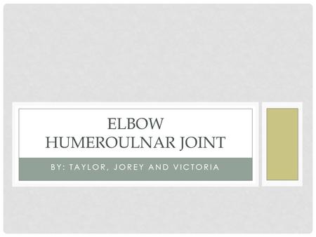Elbow Humeroulnar Joint