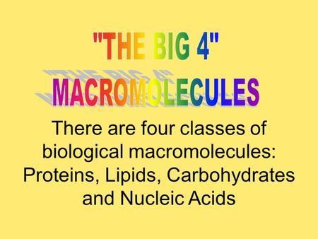 There are four classes of biological macromolecules: Proteins, Lipids, Carbohydrates and Nucleic Acids.