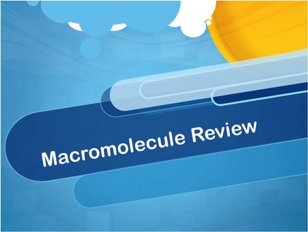 Macromolecule Review.