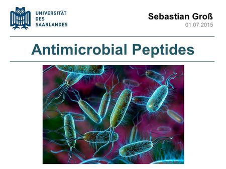 Antimicrobial Peptides Sebastian Groß 01.07.2015.