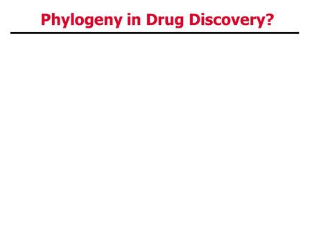 Phylogeny in Drug Discovery?