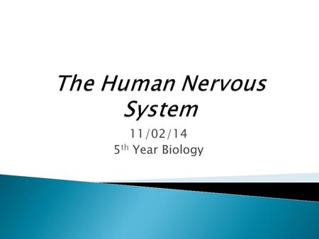 11/02/14 5 th Year Biology.  Recall that the nervous system can be broken down into the Central Nervous System (CNS) & the Peripheral Nervous System.