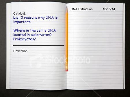 DNA Extraction 10/15/14 Catalyst: List 3 reasons why DNA is important. Where in the cell is DNA located in eukaryotes? Prokaryotes? Reflection: