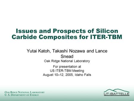 Issues and Prospects of Silicon Carbide Composites for ITER-TBM