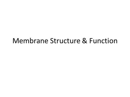 Membrane Structure & Function. Terms Selective Permeability Fluidity of membranes.