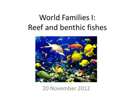 World Families I: Reef and benthic fishes 20 November 2012.