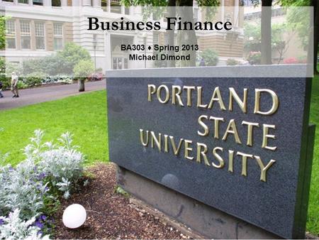 Business Finance BA303 ♦ Spring 2013 Michael Dimond.