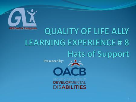 1 Presented by:. ALLY LEARNING EXPERIENCE # 8 Hats of Support Objectives #1-Participants will be introduced to the four different Hats that professionals.
