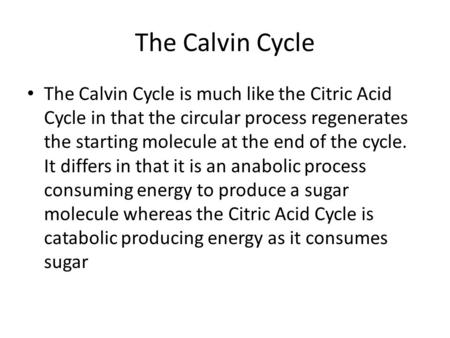 The Calvin Cycle The Calvin Cycle is much like the Citric Acid Cycle in that the circular process regenerates the starting molecule at the end of the cycle.