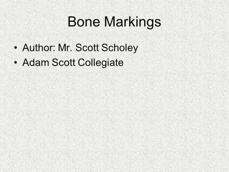 Bone Markings Author: Mr. Scott Scholey Adam Scott Collegiate.