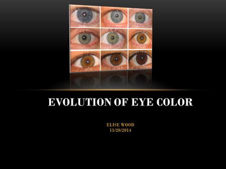 EVOLUTION OF EYE COLOR ELISE WOOD 11/20/2014.  Ancestry of eye color  What causes different shades to appear  Mutation? Advantage?  Large numbers.