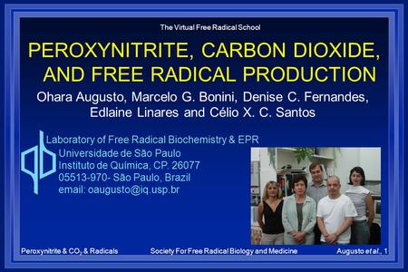 The Virtual Free Radical School PEROXYNITRITE, CARBON DIOXIDE, AND FREE RADICAL PRODUCTION Ohara Augusto, Marcelo G. Bonini, Denise C. Fernandes, Edlaine.