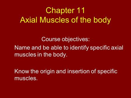 Chapter 11 Axial Muscles of the body