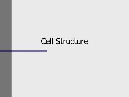 Cell Structure. Cytology n All cells have –a plasma membrane that separates the cell’s internal parts from the environment –organelles (internal structures.