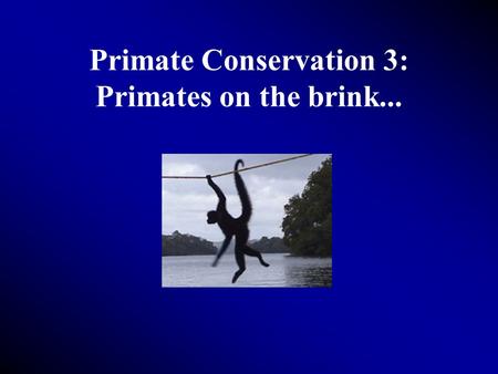 Primate Conservation 3: Primates on the brink....