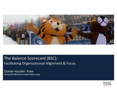 The Balance Scorecard (BSC):