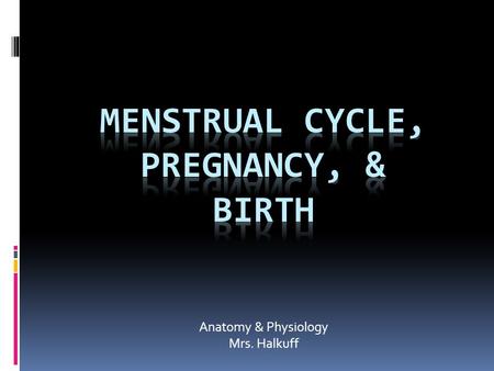 Anatomy & Physiology Mrs. Halkuff. Menstrual Cycle  A series of hormonal changes that help to prepare a woman’s body for pregnancy.  Menarche: First.