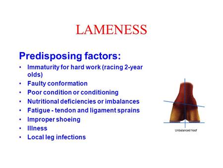 LAMENESS Predisposing factors: