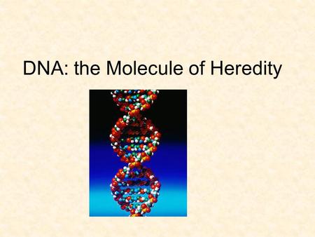 DNA: the Molecule of Heredity. What is DNA? Deoxyribonucleic acid DNA determines an organism’s traits DNA achieves control by producing proteins –Remember: