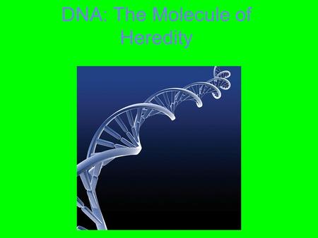 DNA: The Molecule of Heredity. If the DNA of one cell is stretched out, it makes a 7 ft. long string There are about 5 trillion cells in the human body.